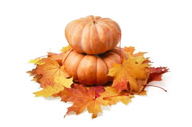 Olgun balkabakları sonbaharda çok renkli akçaağaç yaprakları beyaz arka planda gölgelerle izole edilmiş.