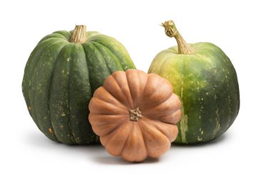 Büyük yeşil ve turuncu pompalar gölgeli beyaz bir arkaplanda izole edilmiş.