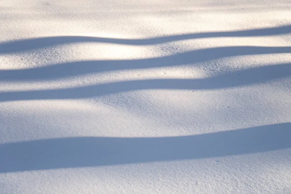 Background with shadows from trees in the snow — Stok fotoğraf
