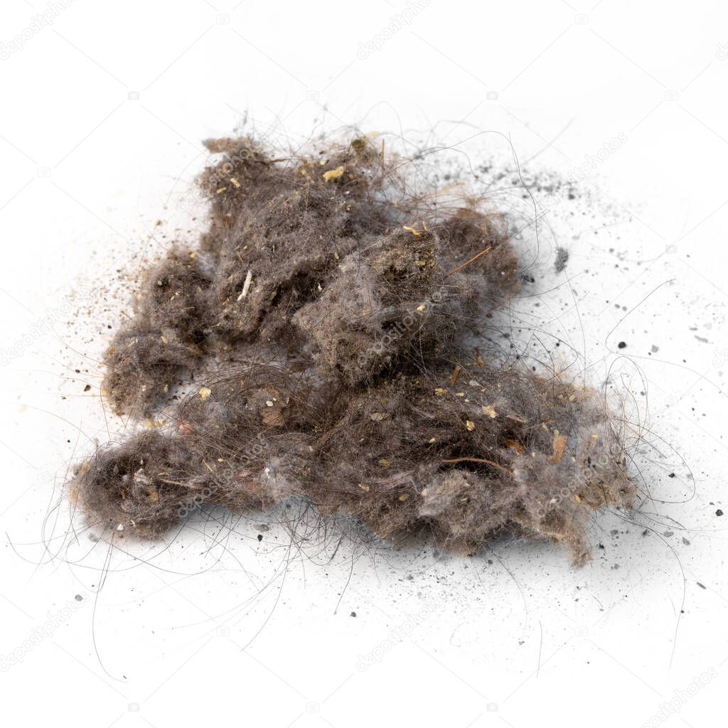 Pile of garbage and dust removed from a vacuum cleaner isolated on a white background