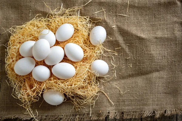 Œufs de poulet blancs dans le nid de paille sur toile de jute — Photo