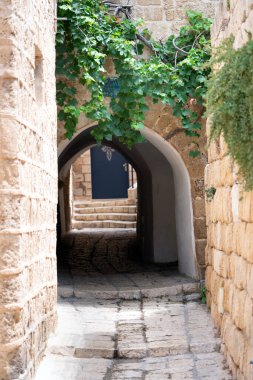 İsrail 'in Tel Aviv kentindeki Jaffa' nın eski dar bir caddesinde yeşil yapraklı bir kemer.