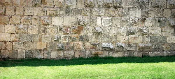 Background with an ancient wall and green grass lit by the sun in old town in Jerusalem, Israel