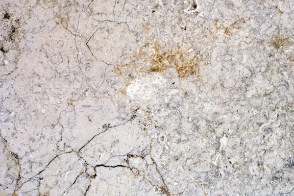 Fragment of a texture of the marble floor of at he church of all nations in Jerusalem