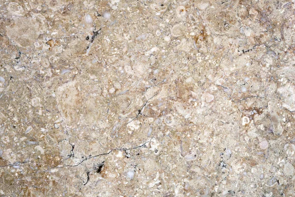 Fragment of a texture of the marble floor of at he church of all nations in Jerusalem