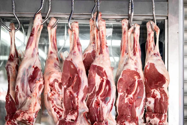 Raw mutton or lamb legs hanging on metal butcher hooks ona market in Jerusalem