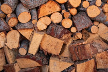 Dikey kesilmiş ve istiflenmiş birkaç çam ağacından yakacak odun..