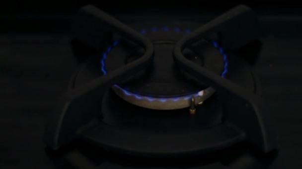 Closed Plan Unlit Gas Cooker Stove Lit Blue Flame Grows — Stockvideo