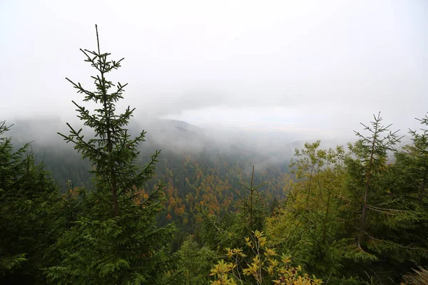 Niesamowity Widok Jesienią Rano Mgliste Transfagarasan Drogowego Transylwanii Rumunia Jeden — Zdjęcie stockowe