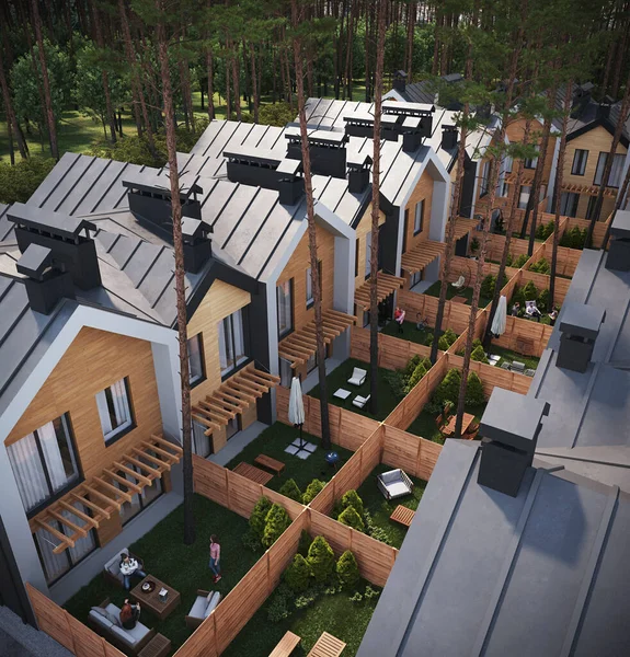 Ormandaki Modern Özel Evlerin Boyutlu Tasarımı Hava Manzaralı — Stok fotoğraf