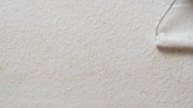 Duvarı yenileme konsepti olarak boyayan kadın. Eldeki paten desenli duvarı yenilemek ve lekeleri ve kalıpları kapatmak için beyaz boyayla boyuyor. Görünümü kapat, dikey hareket