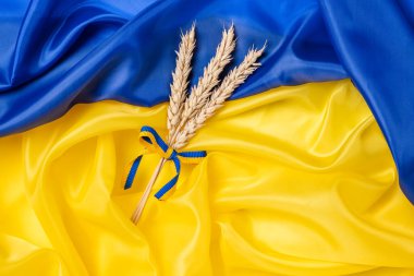 Ukrayna bayraklı sarı ve mavi kurdeleli buğday demeti. Ukrayna 'daki savaş yüzünden gıda krizi ve küresel gıda kıtlığı kavramı.