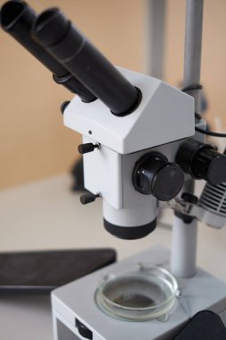 Siyah havyar izole edilmiş siyah arkaplanı kapat