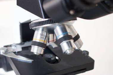 Havyar, havyar yapmak için laboratuarı kapatma odası yapıyor.