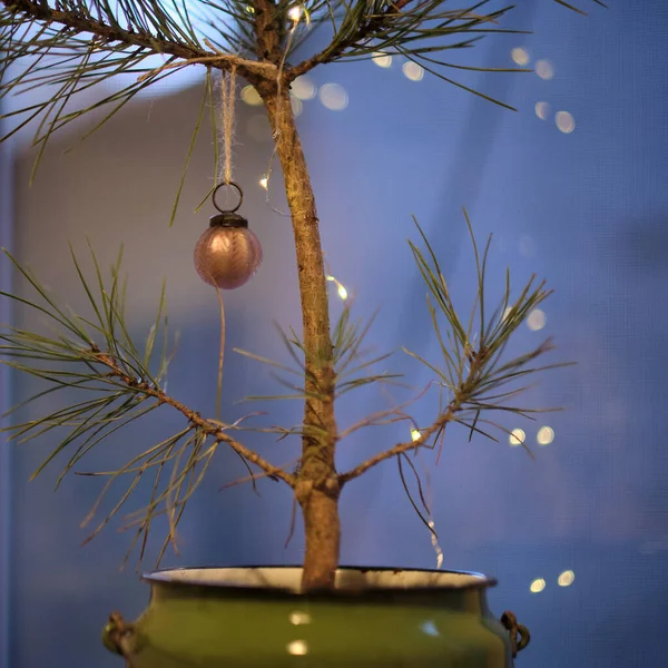 Різдвяна Ялинка Запалює Вечірню Атмосферу Сніг Щасливий Новий Рік — стокове фото