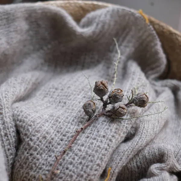 美しく手作りニットセーターアルパカ暖かく居心地の良い — ストック写真