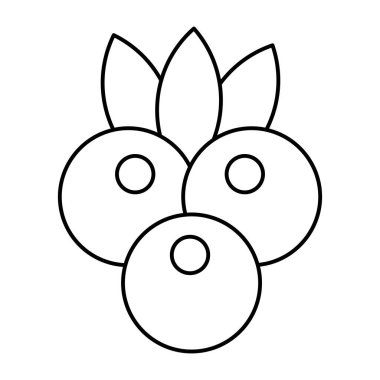 Böğürtlenlerin moda vektör tasarımı