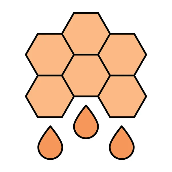 Perfect Design Icon Honey Formula — стоковый вектор