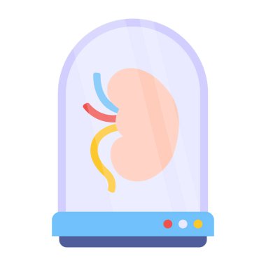 Böbreğin eşsiz tasarım simgesi