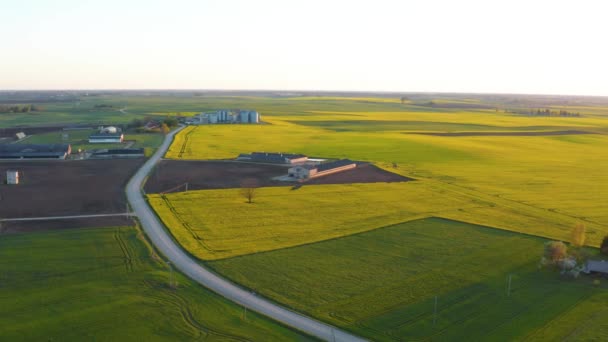 Letecký Pohled Velké Krásné Pole Kvetoucích Žlutých Řepkových Květů Žluté — Stock video