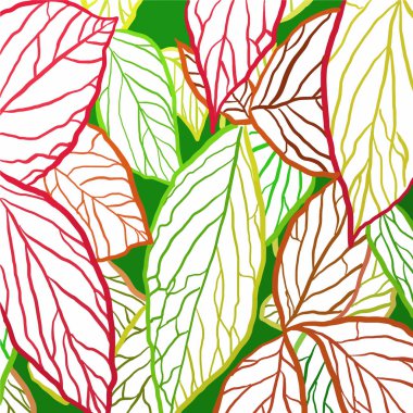 Beyaz arka planda renkli yapraklar