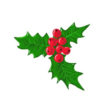   Noel için beyaz arka planda Holly şubesi