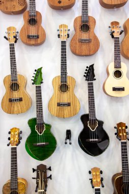 Müzik dükkanının duvarında farklı türde akustik gitarlar asılı.