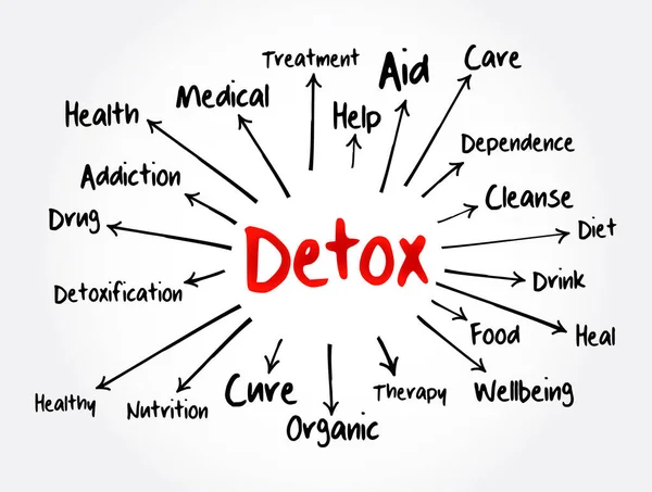 Detox Μυαλό Χάρτη Έννοια Της Υγείας Για Παρουσιάσεις Και Εκθέσεις — Διανυσματικό Αρχείο
