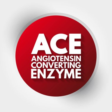 ACE - Angiotensin Converting Enzyme acronym, medical concept background clipart