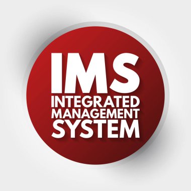 IMS - Entegre Yönetim Sistemi kısaltması, iş kavramı geçmişi