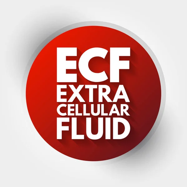 Ecf Acrónimo Fluido Extracelular Fundo Conceito Médico — Vetor de Stock