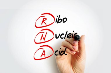 RNA - İşaretli Ribonükleik asit kısaltması, tıbbi kavram geçmişi