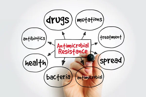 Antimikrobiální Rezistence Mapa Mysli Markerem Lékařskou Koncepcí Pro Prezentace Reporty — Stock fotografie
