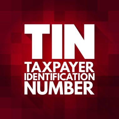 TIN - Vergi mükelleflerinin kimlik numarası kısaltma, kavram geçmişi