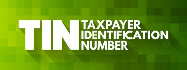 TIN - Vergi mükelleflerinin kimlik numarası kısaltma, kavram geçmişi