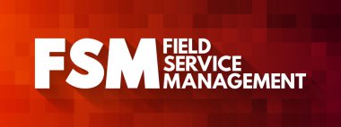 FSM - Saha Hizmeti Yönetimi kısaltması, iş konsepti geçmişi