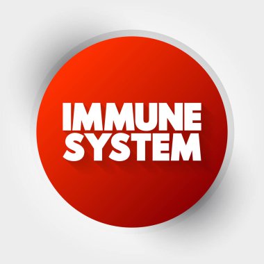 Bağışıklık Sistemi metni, sağlık konsepti geçmişi