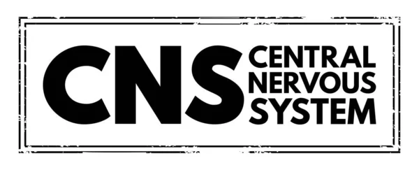 Cns Sistema Nervoso Central Sigla Fundo Conceito Médico —  Vetores de Stock