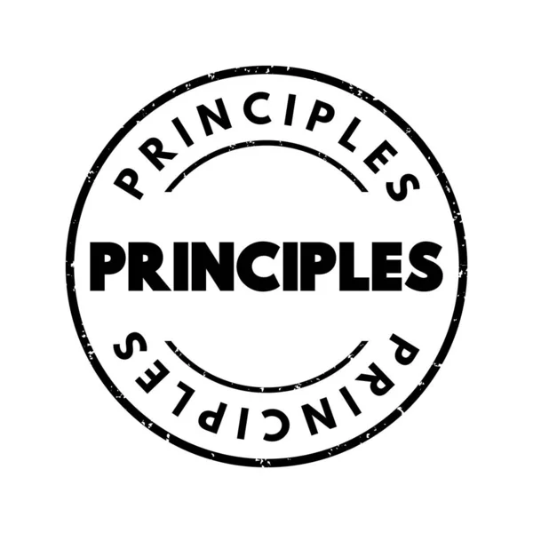 Principles Text Stamp Business Concept Background — Stockvector