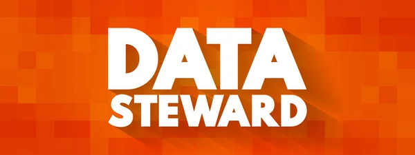 Data Steward Oversight Data Governance Role Organization Text Concept Presentations — Vetor de Stock
