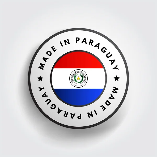 Insigne Emblème Texte Fabriqué Paraguay Fond Concept — Image vectorielle