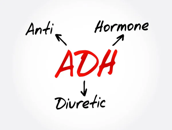 Adh Acrónimo Hormona Antidiurética Concepto Fondo — Vector de stock