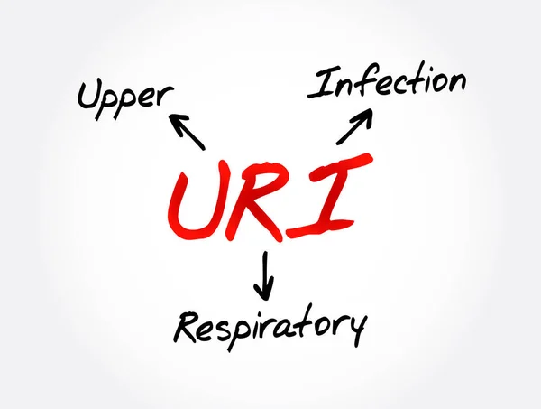 Uri 호흡기 — 스톡 벡터
