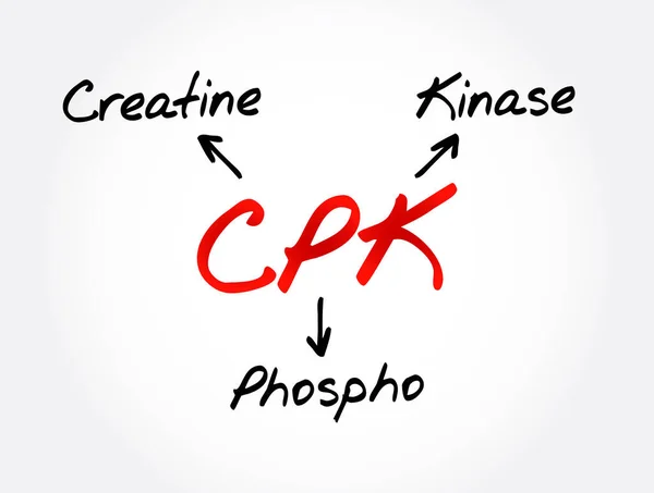 Cpk Creatina Fosfoquinase Enzima Expressa Por Vários Tecidos Tipos Células — Vetor de Stock