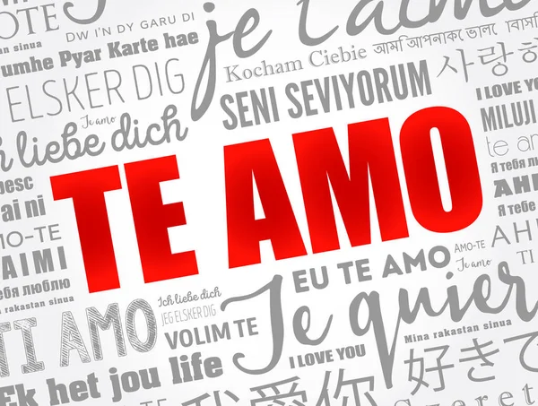 Amo Love You Spanish Nuvem Palavras Diferentes Idiomas Mundo — Vetor de Stock