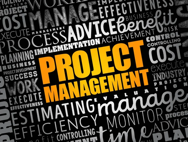 Project Management Word Cloud Collage Business Concept Background — Stock Vector