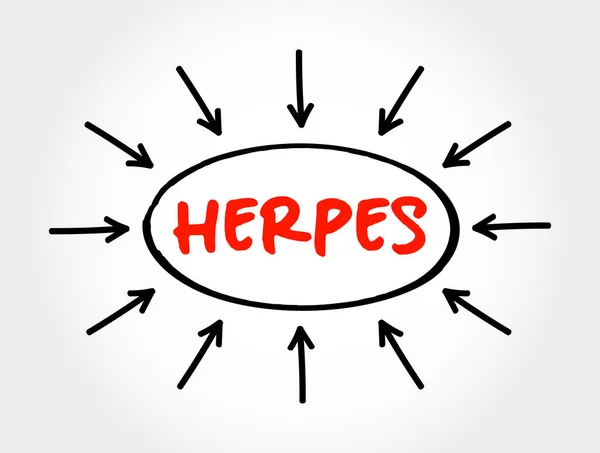 Herpes Texto Con Flechas Concepto Médico Para Presentaciones Informes — Archivo Imágenes Vectoriales