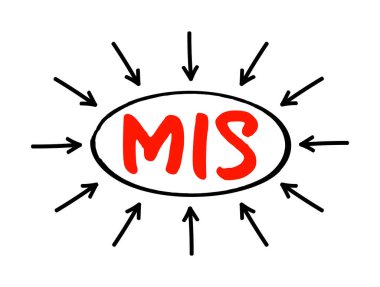 MIS - Yönetim Bilgi Sistemi kısaltması, iş kavramı geçmişi