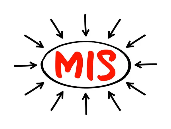 Mis Management Information System Akronym Geschäftskonzept Hintergrund — Stockvektor