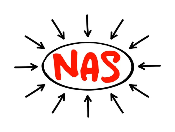 Nas Network Attached Storage Opslagserver Bestandsniveau Verbonden Met Een Computernetwerk — Stockvector